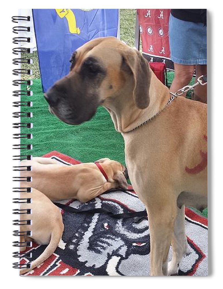 Gameday Spiral Notebook featuring the photograph Bama Great Dane by Kenny Glover