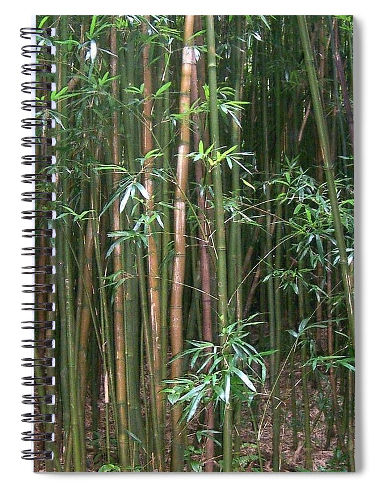  Spiral Notebook featuring the photograph Bamboo Forest by Cornelia DeDona