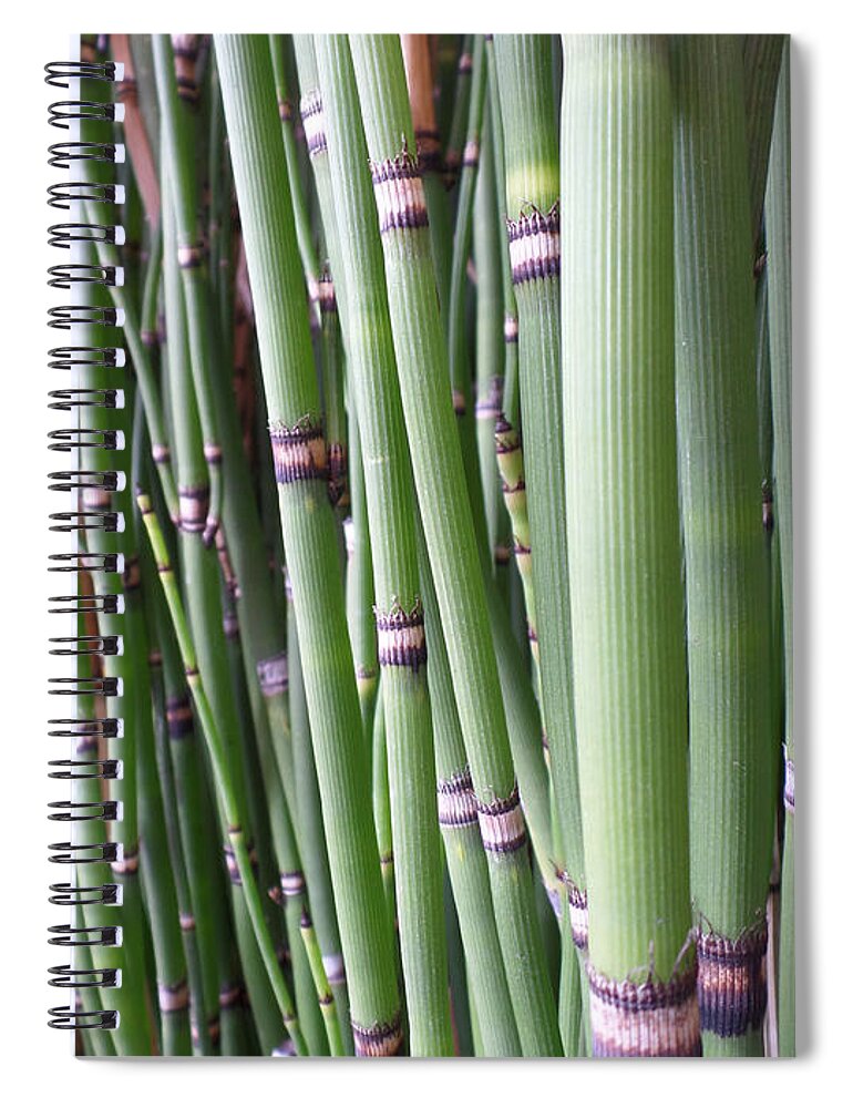 Bamboo Spiral Notebook featuring the photograph Bamboo by HEVi FineArt