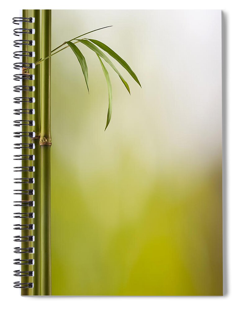 Bamboo Spiral Notebook featuring the photograph Bamboo Land by Pixhook