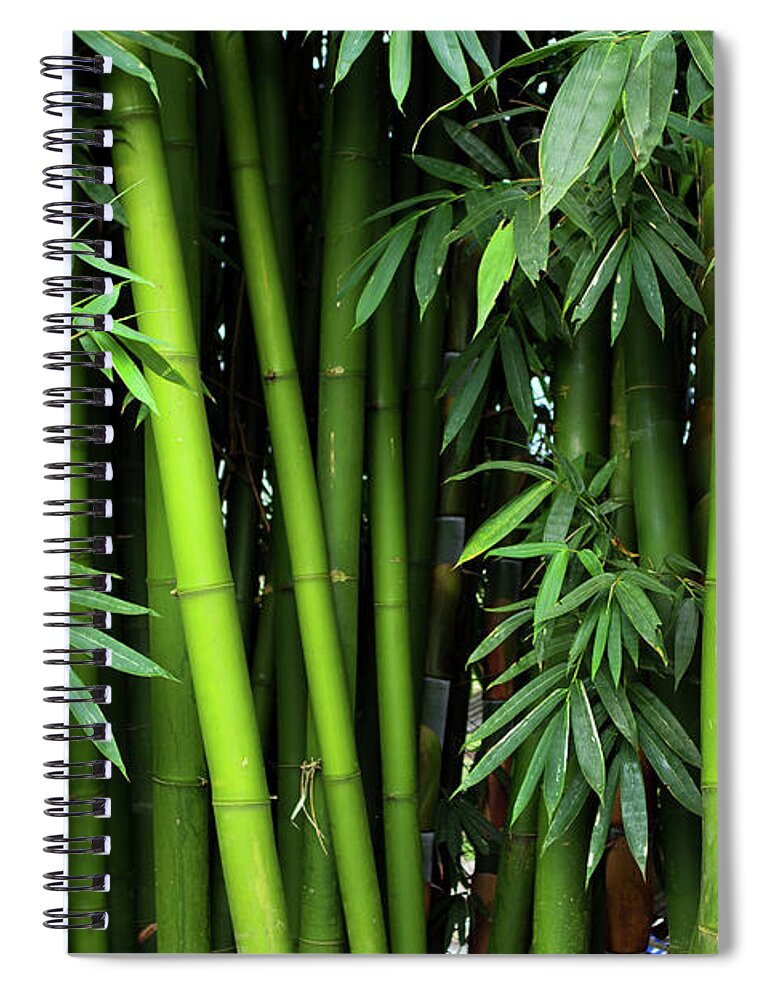 Bamboo Spiral Notebook featuring the photograph Bamboos by Simonlong