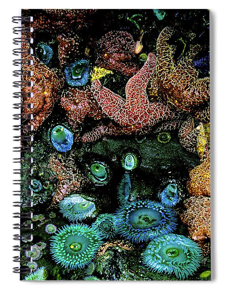 Pacific Ocean Spiral Notebook featuring the photograph Bandon Beach Oregon Pacific Tidal Pool by Ed Riche