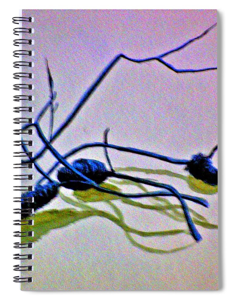 Banksia Seed Pods Spiral Notebook featuring the painting Banksia Abstraction by Leanne Seymour
