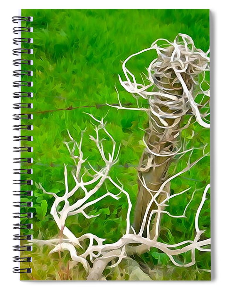 Barb Spiral Notebook featuring the photograph Barbs and Briers by Norma Brock