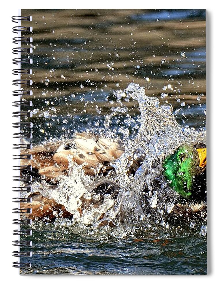 Mallard Spiral Notebook featuring the photograph Bath Time by Fiskr Larsen