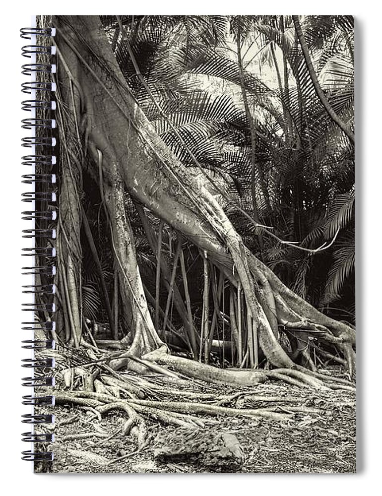 Tree Spiral Notebook featuring the photograph Strangler Fig by Rudy Umans