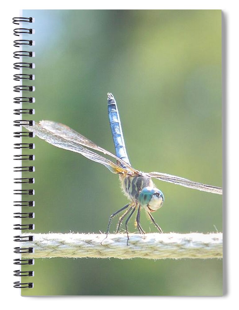 Macro Spiral Notebook featuring the photograph Smiling Dragonfly by Eunice Miller