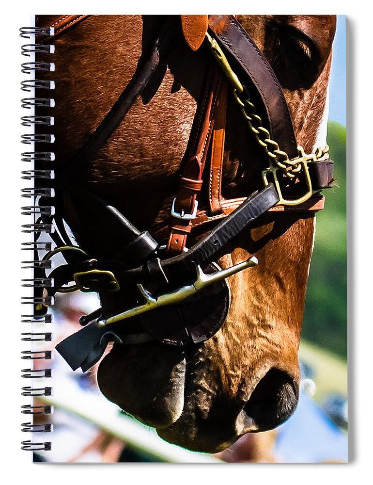 Steeplechase Spiral Notebook featuring the photograph Be quiet I'm trying to think by Robert L Jackson