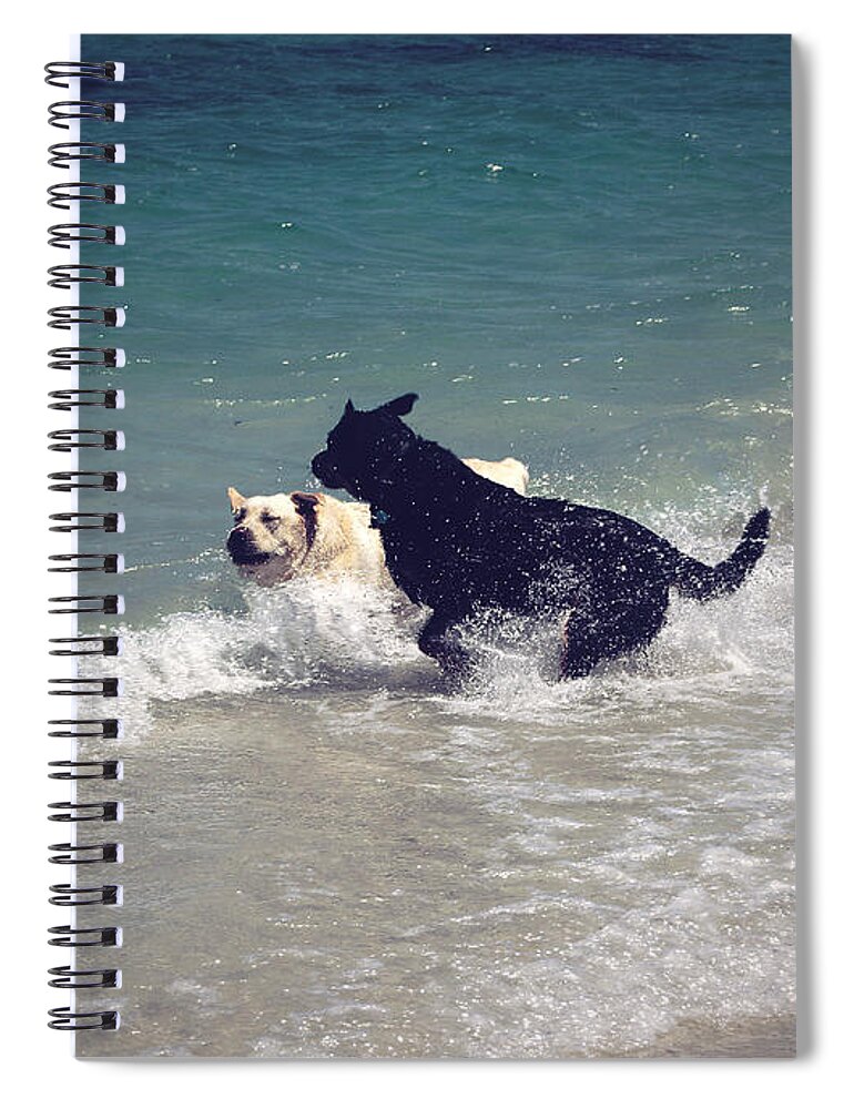 Laborador Spiral Notebook featuring the photograph Beach Fun by Cassandra Buckley