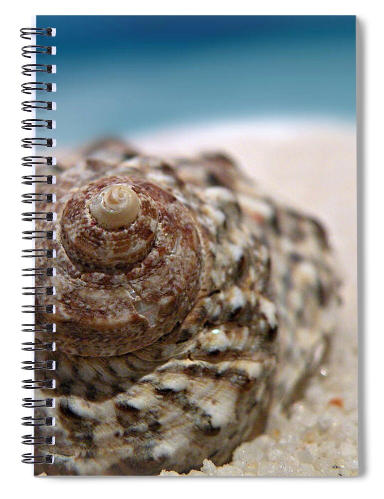 Beach Treasure Spiral Notebook featuring the photograph Beach Treasure by Micki Findlay