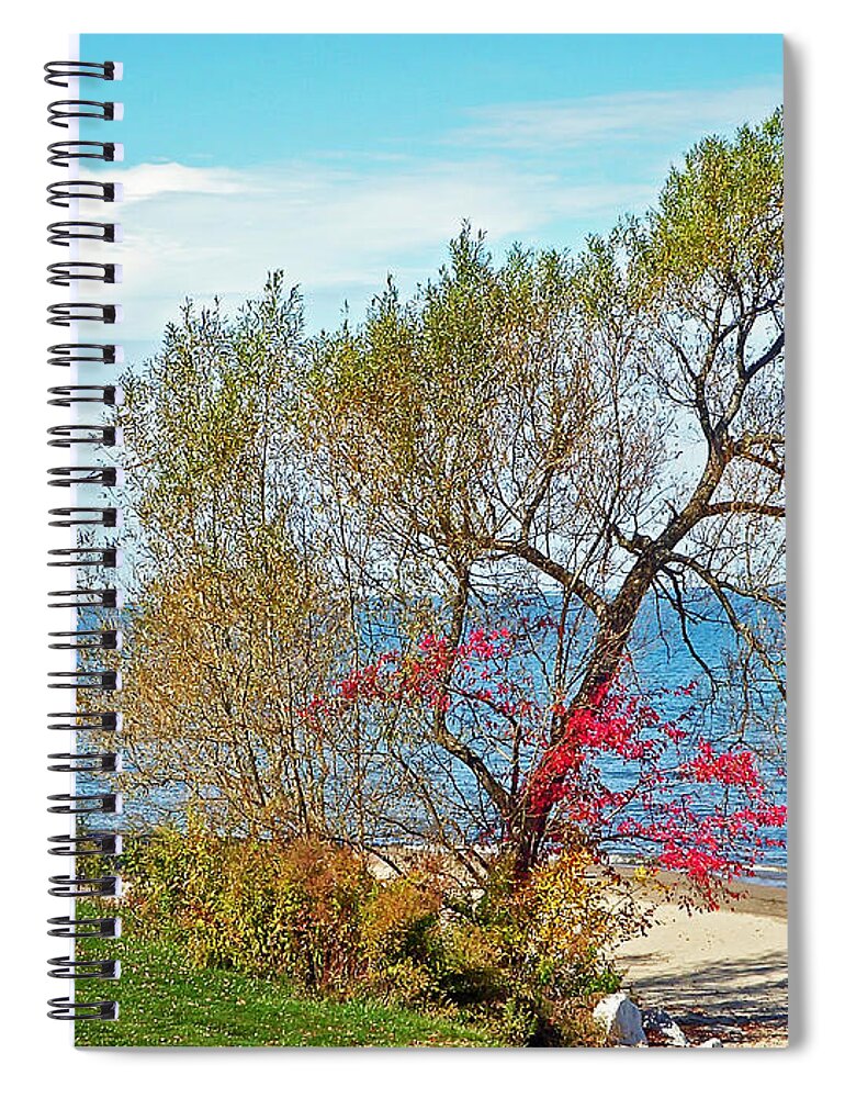 Beach Spiral Notebook featuring the photograph Beach Tree by Aimee L Maher ALM GALLERY