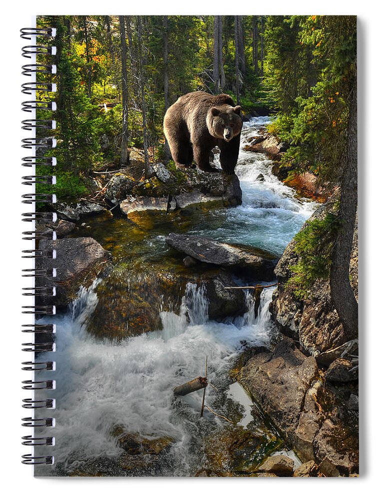 Grizzly Spiral Notebook featuring the photograph Bear Necessity by Ken Smith
