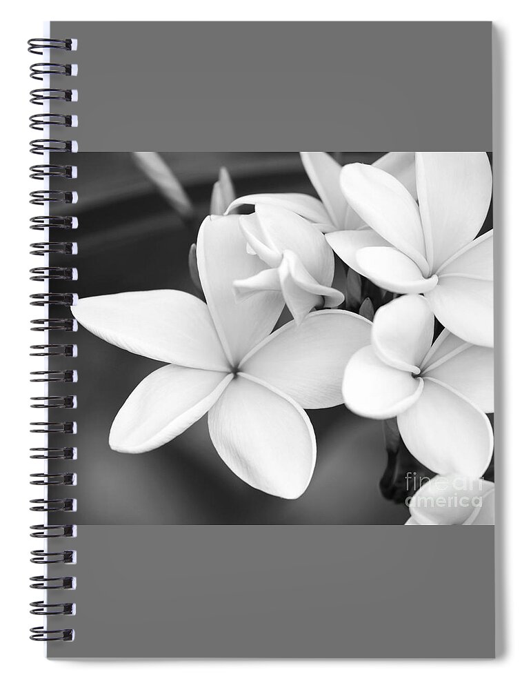 Art Spiral Notebook featuring the photograph Beautiful Plumeria in Black and White by Sabrina L Ryan