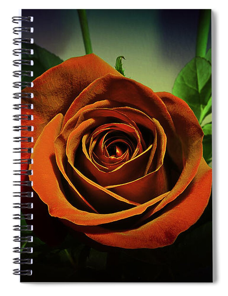 Rose Spiral Notebook featuring the photograph Beauty Around by Milena Ilieva