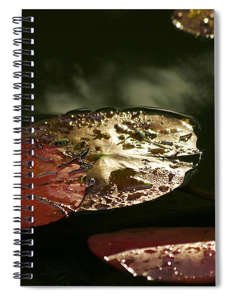 Tranquility Spiral Notebook featuring the photograph Beauty by Eileen Gayle