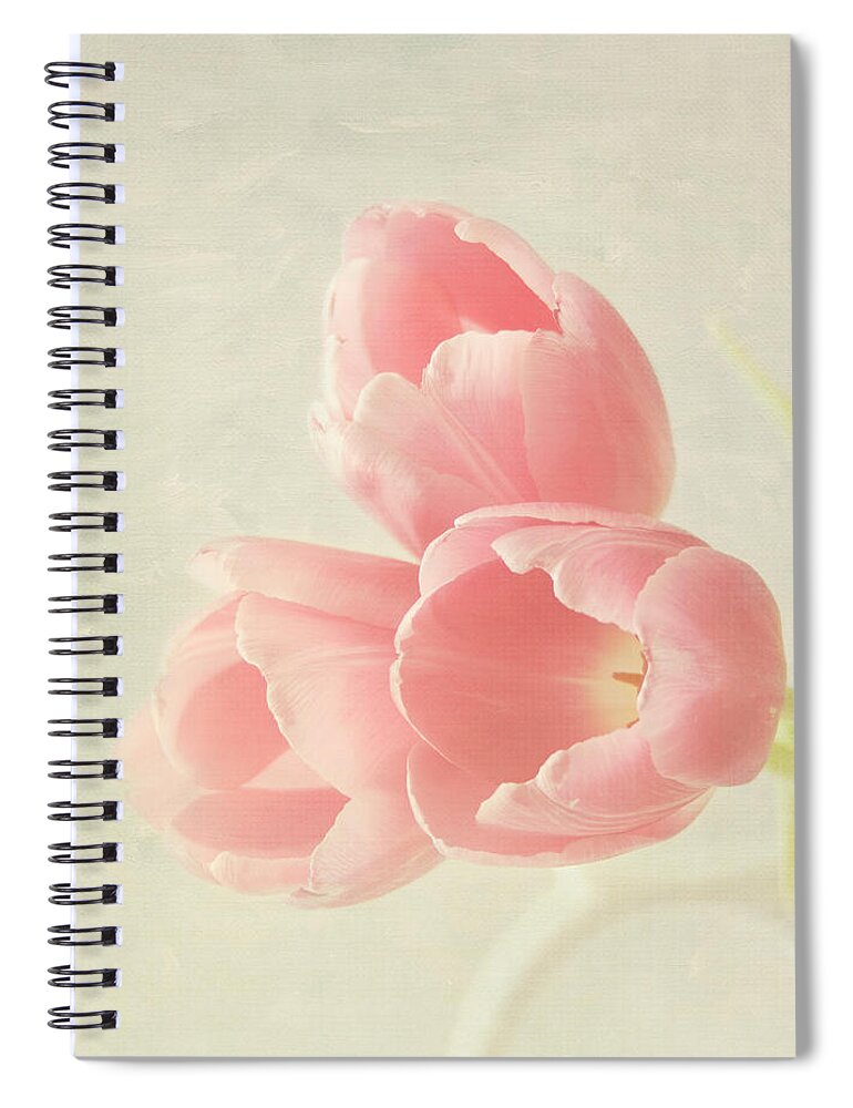 Pink Flower Spiral Notebook featuring the photograph Beauty in Three by Kim Hojnacki