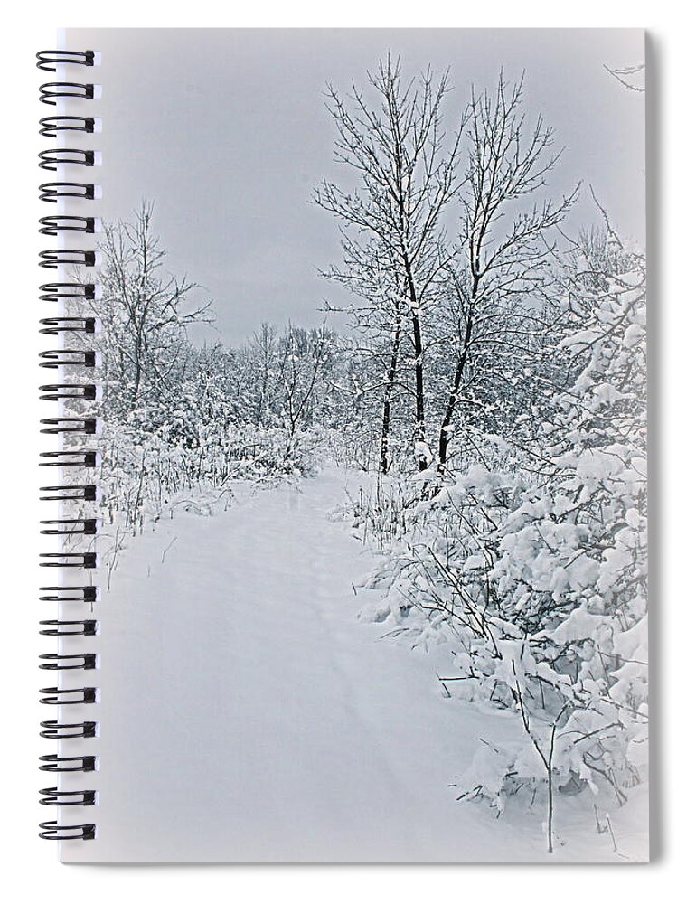 Winter Spiral Notebook featuring the photograph Beauty Of Winter by Kay Novy
