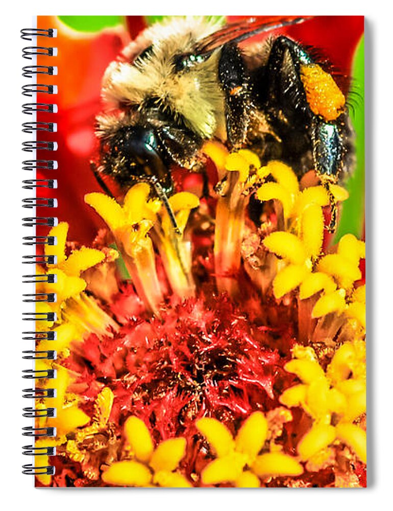 Optical Playground By Mp Ray Spiral Notebook featuring the photograph Bee a star by Optical Playground By MP Ray