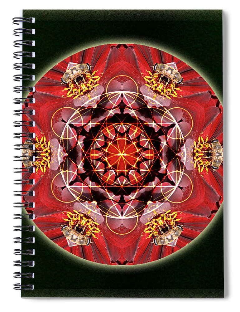 Mandala Spiral Notebook featuring the mixed media Bee Green by Alicia Kent