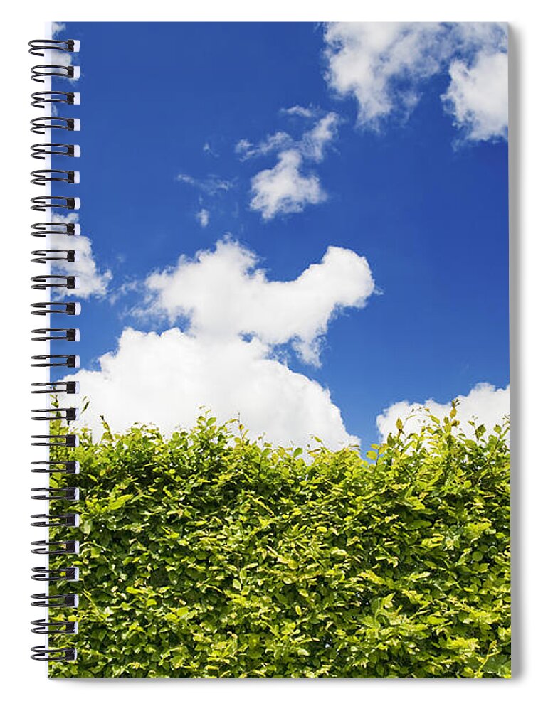 Hedge Spiral Notebook featuring the photograph Beech Hedge with blue sky by Chevy Fleet