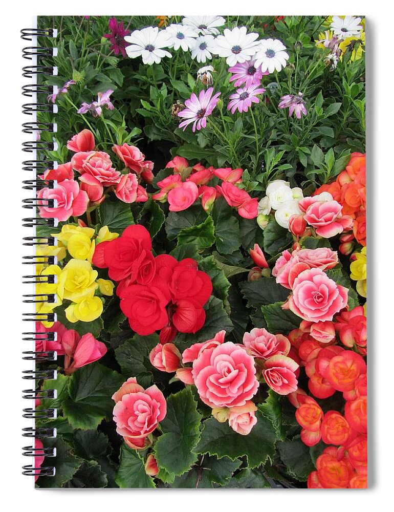 Pink Spiral Notebook featuring the photograph Begonia Bouquet by Jeannie Allerton