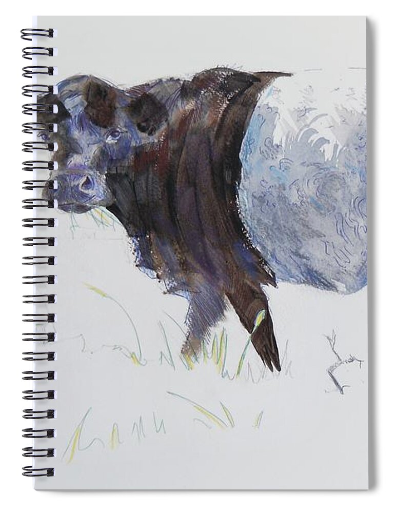 Belted Spiral Notebook featuring the drawing Belted Galloway Cow Illustration by Mike Jory