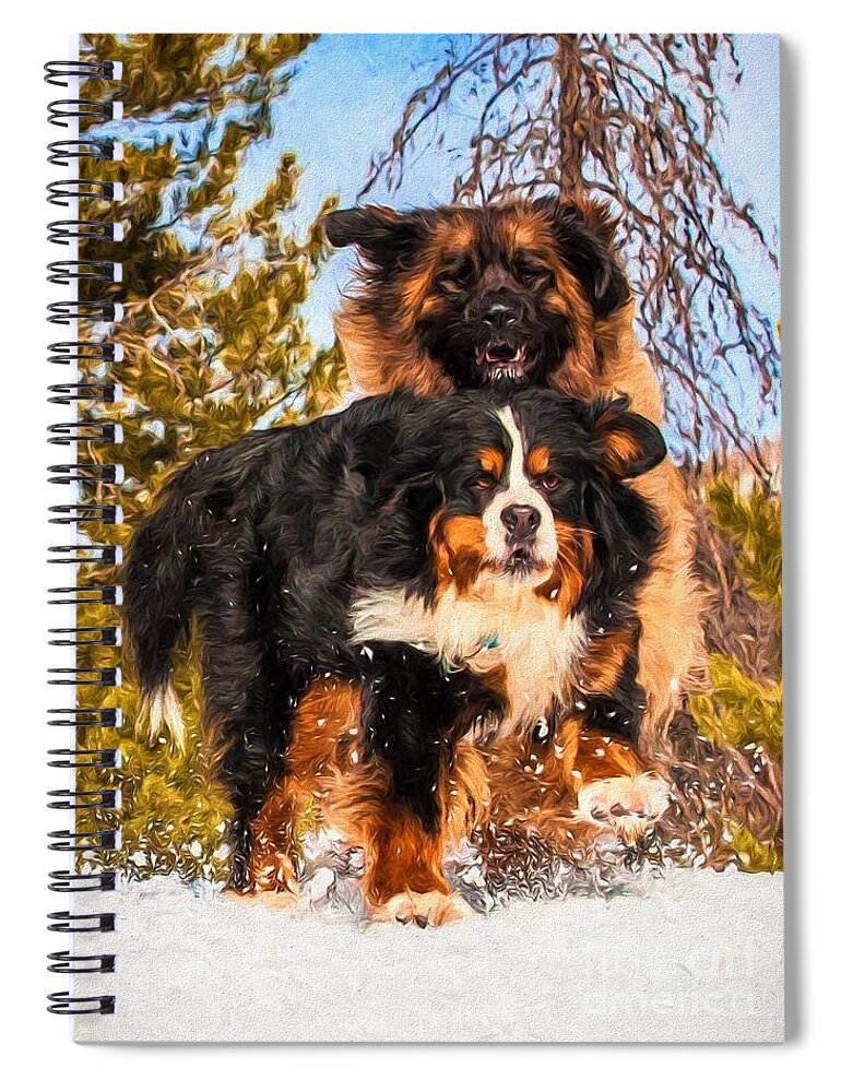 Bernese Mountain Dog Spiral Notebook featuring the photograph Bernese Mountain Dog and Leonberger Winter Fun by Gary Whitton