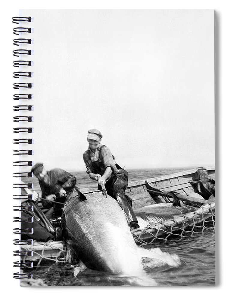 1940's Spiral Notebook featuring the photograph Big Tuna Fishermen by Underwood Archives