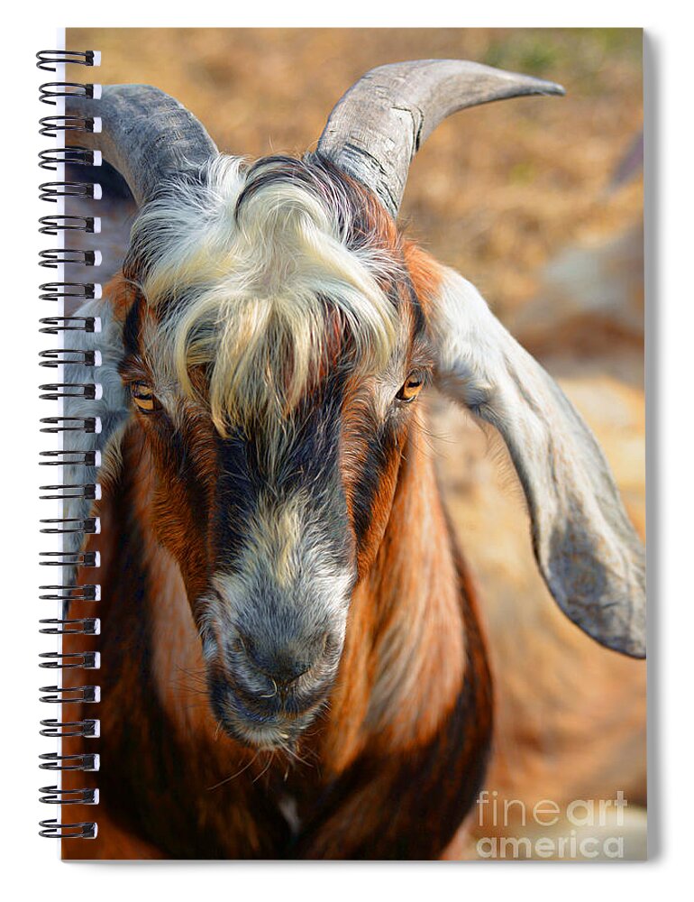 Goats Spiral Notebook featuring the photograph Billy Goat by Savannah Gibbs