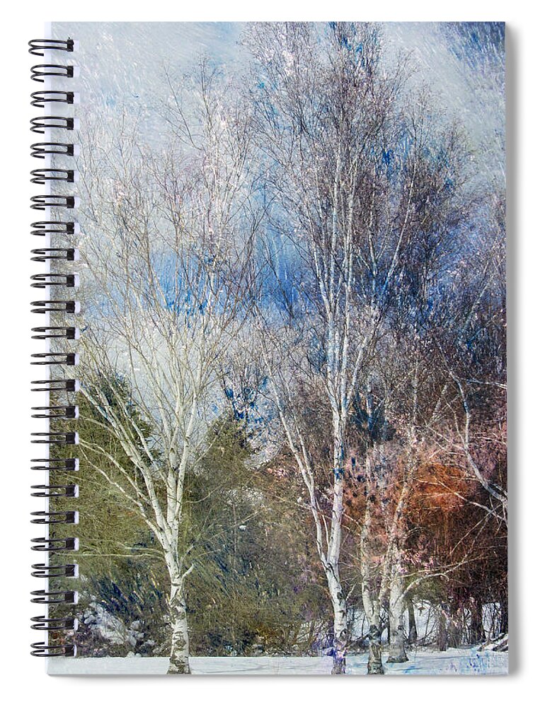 Birch Spiral Notebook featuring the digital art Birches Winter and Abstract Painting 1 by Anita Burgermeister