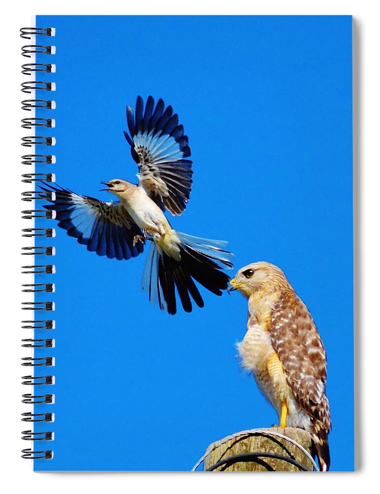 Birds Spiral Notebook featuring the photograph Bird Alert by Tamara Michael