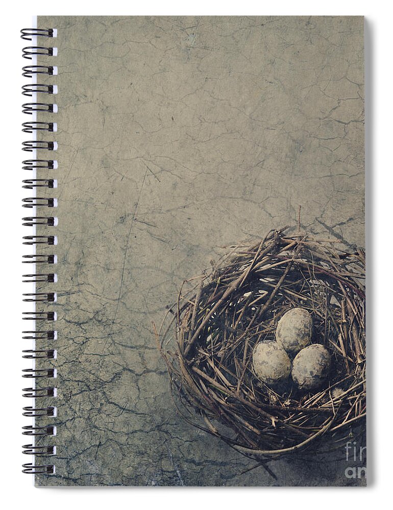 Bird Spiral Notebook featuring the digital art Bird Nest by Jelena Jovanovic