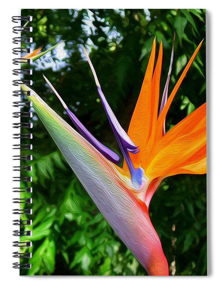 Floral Spiral Notebook featuring the photograph Bird Of Paradise by Kathy Bassett