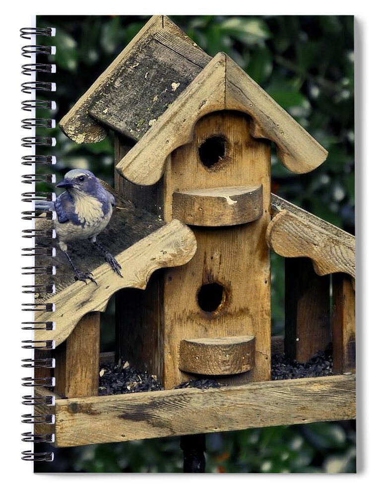 Oregon City Spiral Notebook featuring the photograph Bird On A House by Image Takers Photography LLC - Carol Haddon