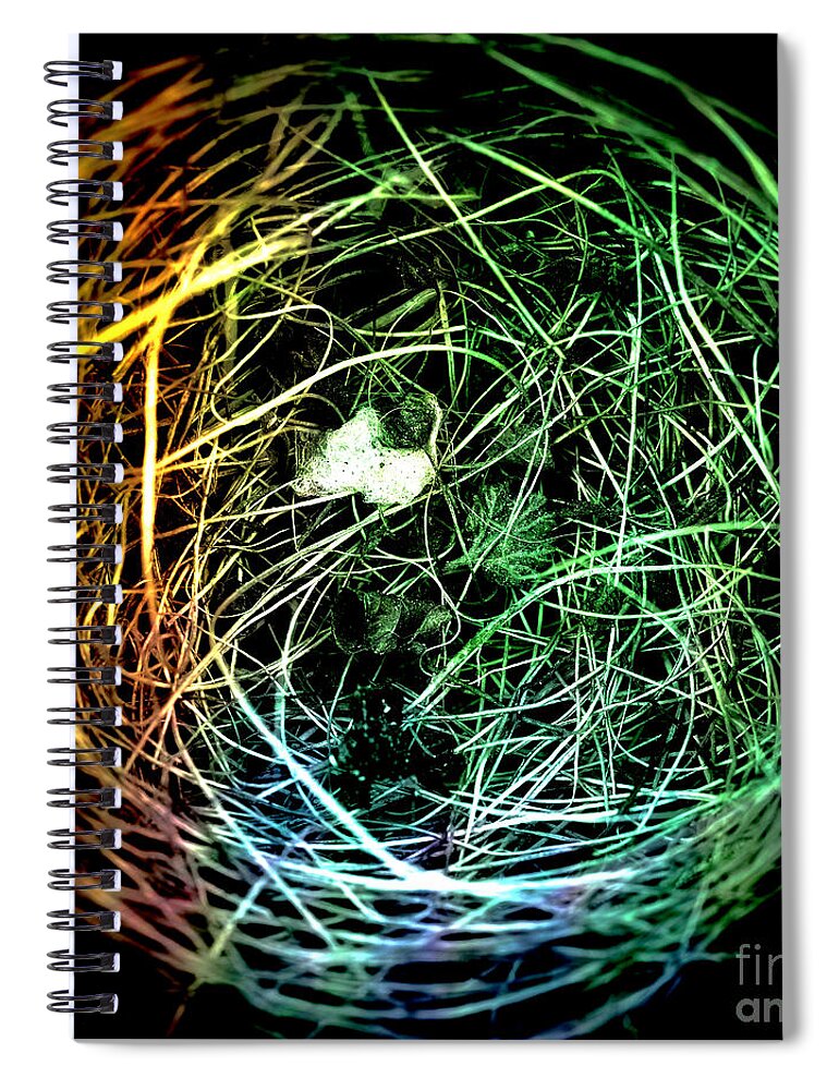 Pop Spiral Notebook featuring the photograph Bird's Nest Pop Art by Edward Fielding