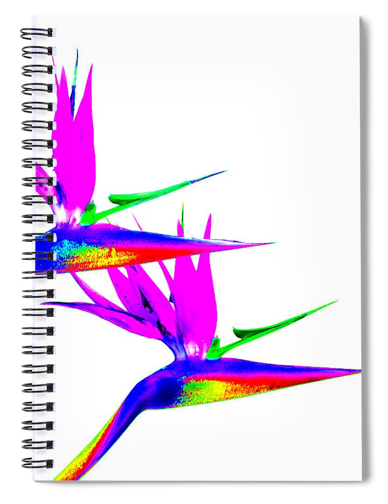 Pop Art Spiral Notebook featuring the photograph Birds of Paradise by Art Block Collections