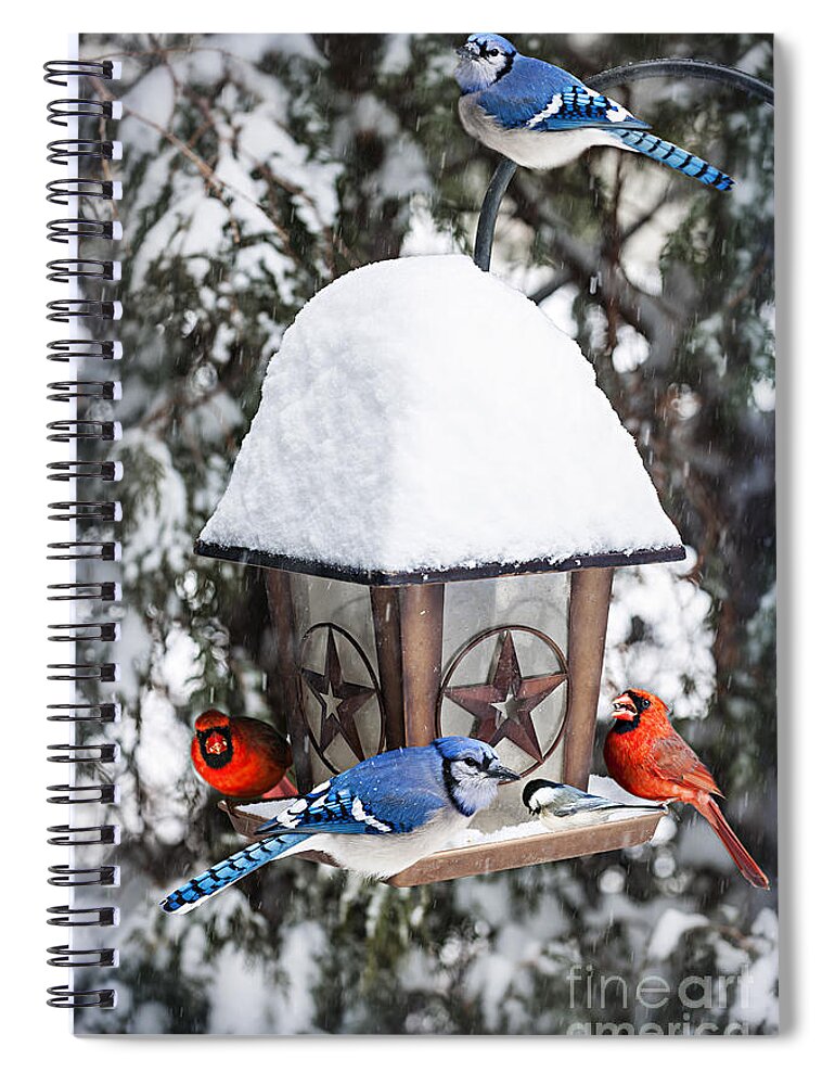 Birds Spiral Notebook featuring the photograph Birds on bird feeder in winter by Elena Elisseeva