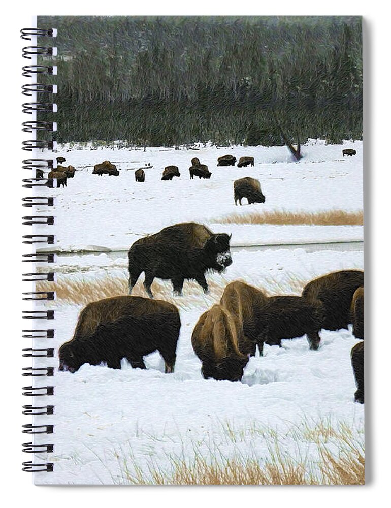 Wild Bison Spiral Notebook featuring the mixed media Bison Cows Browsing by Kae Cheatham