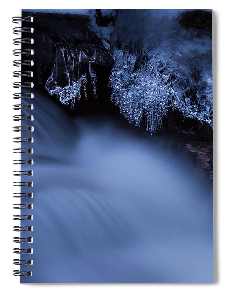 Outdoors Spiral Notebook featuring the photograph Bizarr Beauty by Andreas Levi