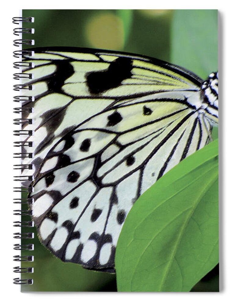 Butterfly Spiral Notebook featuring the digital art Black and White Butterfly by Bob Slitzan