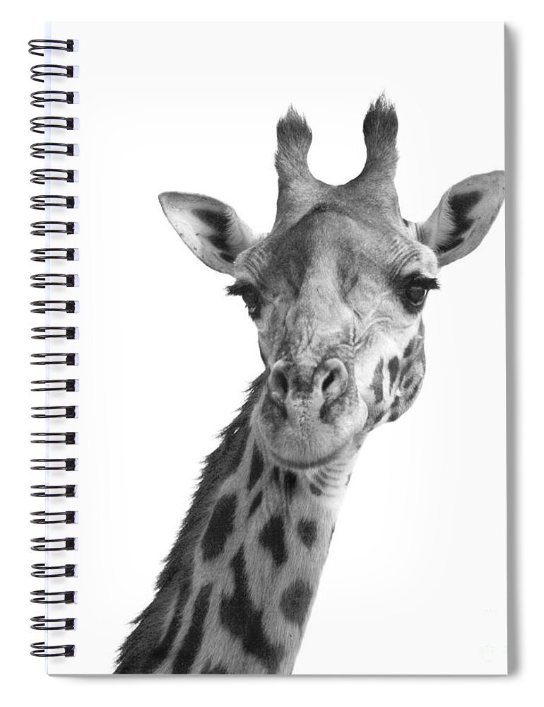 Africa Spiral Notebook featuring the photograph Black and white giraffe by Deborah Benbrook