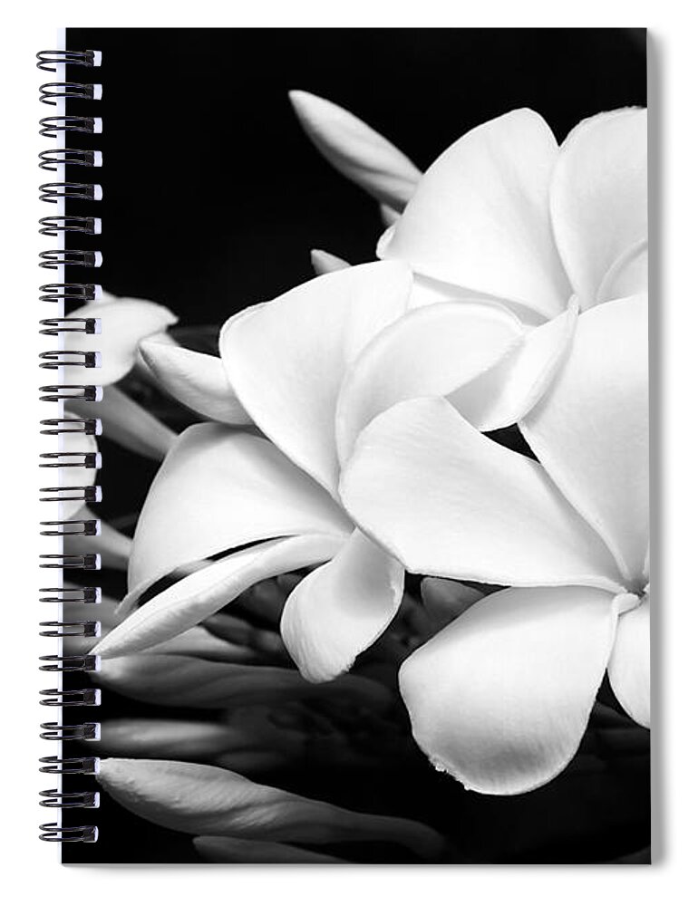 Macro Spiral Notebook featuring the photograph Black and White Lightning by Sabrina L Ryan