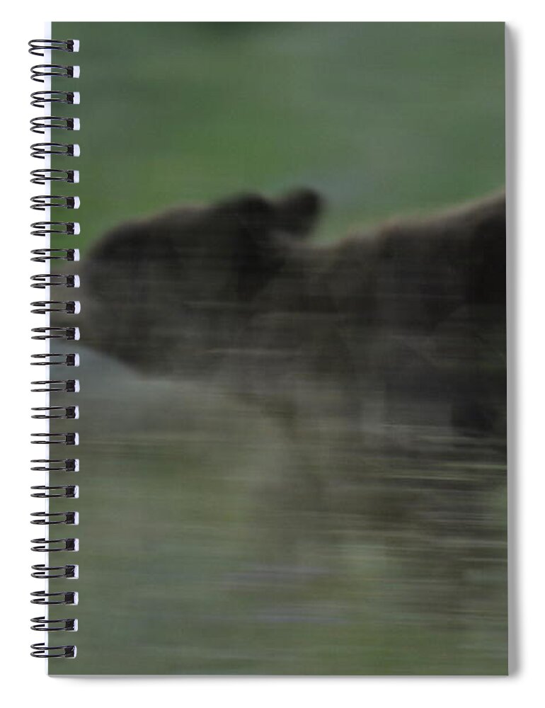 Black Bear Spiral Notebook featuring the photograph Black Bear Cub by Frank Madia