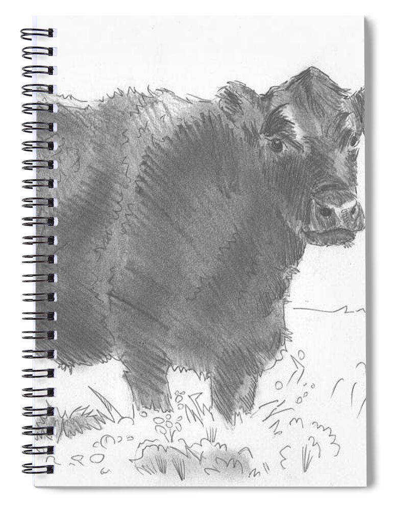 Cow Spiral Notebook featuring the drawing Black Cow Pencil Sketch by Mike Jory