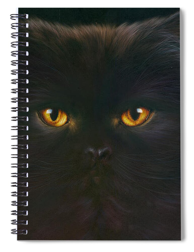 Andrew Farley Spiral Notebook featuring the photograph Black Persian by MGL Meiklejohn Graphics Licensing