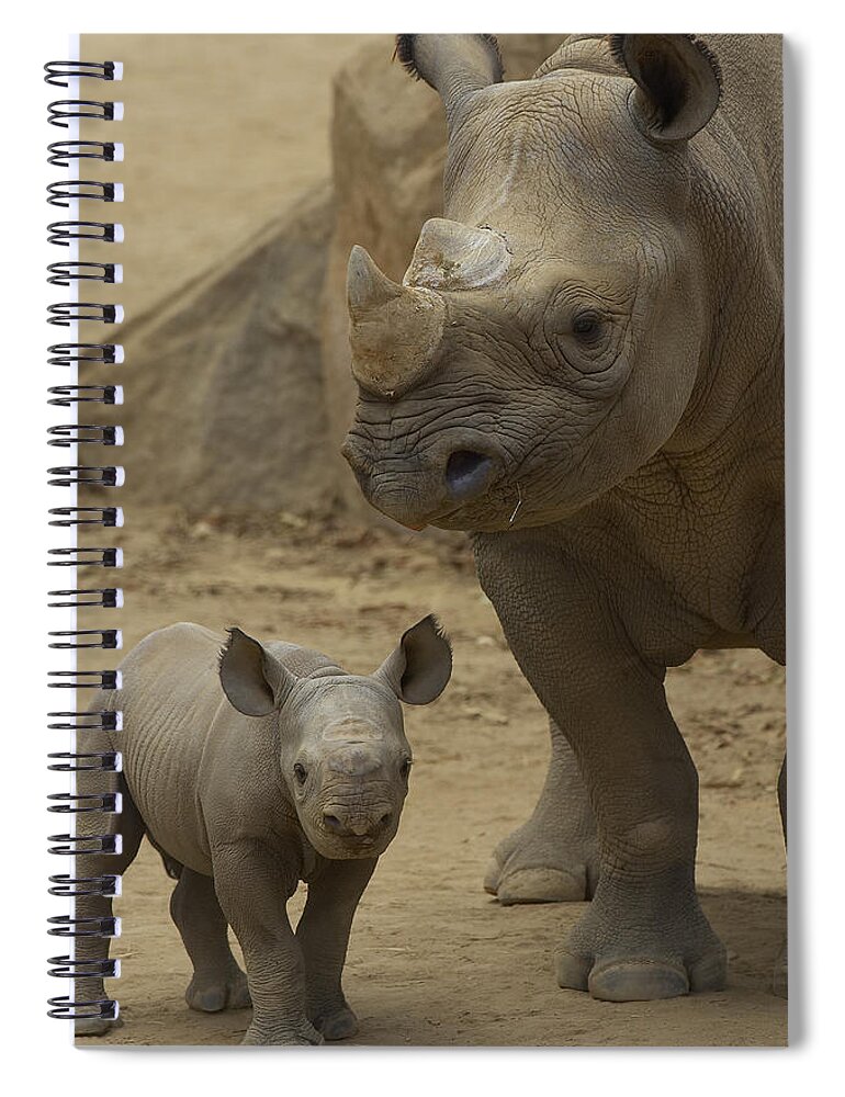 Feb0514 Spiral Notebook featuring the photograph Black Rhinoceros Mother And Calf by San Diego Zoo
