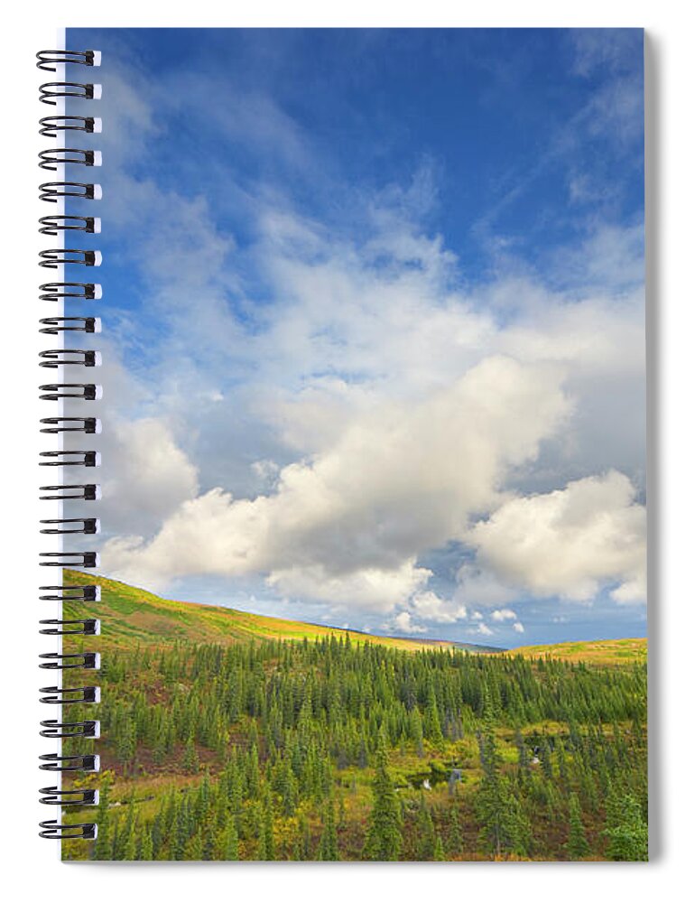 00431045 Spiral Notebook featuring the photograph Black Spruce on Fall Tundra by Yva Momatiuk John Eastcott