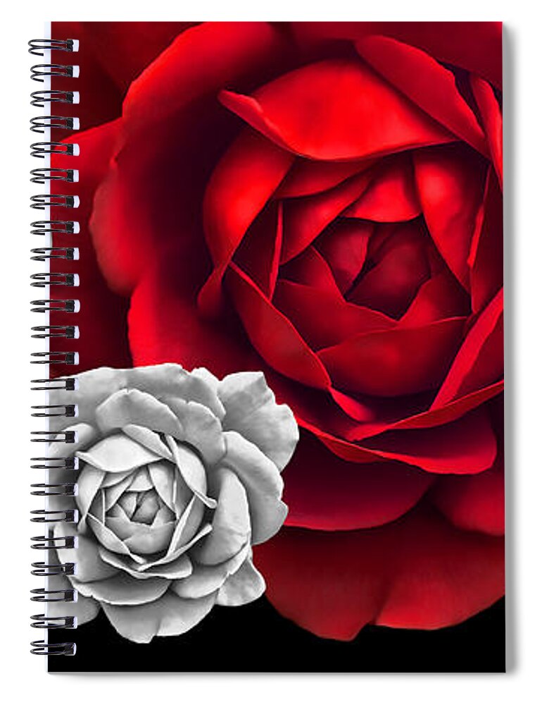 Rose Spiral Notebook featuring the photograph Black White Red Roses Abstract by Jennie Marie Schell