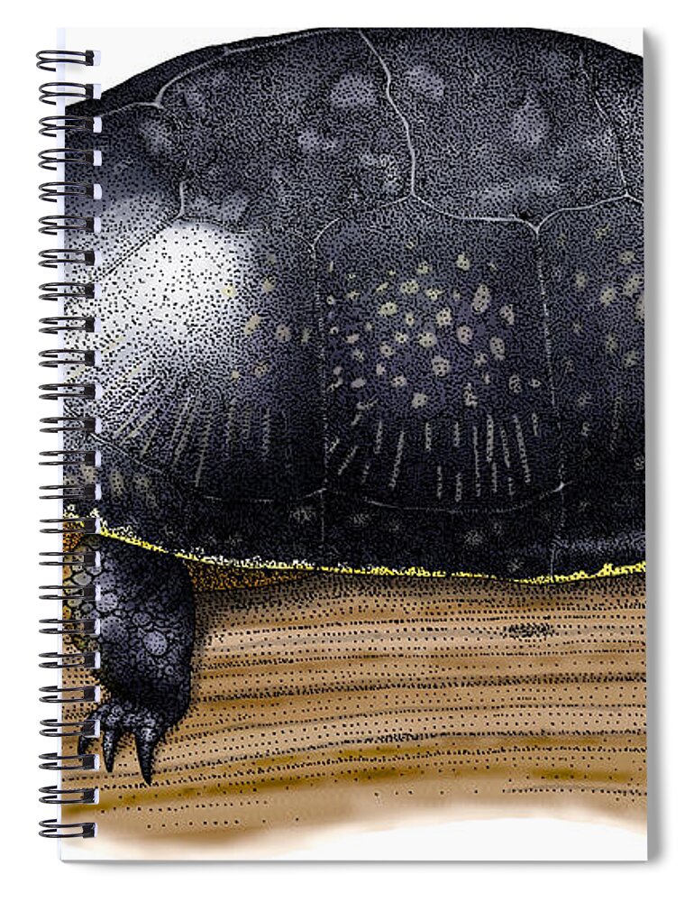 Art Spiral Notebook featuring the photograph Blandings Turtle by Roger Hall