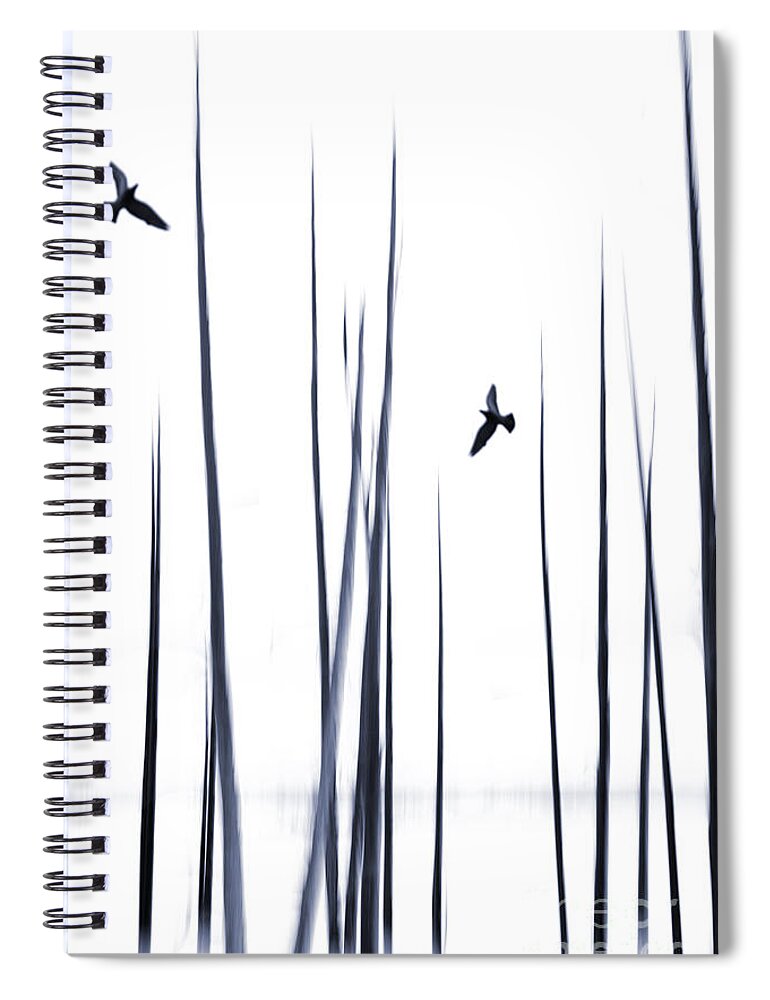 Tree Spiral Notebook featuring the photograph Bleak Midwinter by David Lichtneker